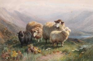 WATSON William R 1881-1968,Highland Sheep,Jackson's US 2015-11-17