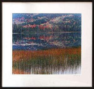 WAWRZONEK JOHN 1941,''Reeds and Reflections'',Clars Auction Gallery US 2011-08-07