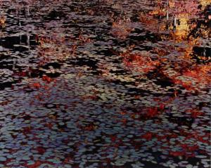 WAWRZONEK JOHN 1941,LILY POND WITH REFLECTIONS, WALDEN RESERVATION,1990,Potomack US 2022-07-27