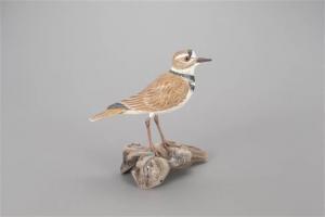 WEAVER STEVE 1950,Killdeer,1995,Copley US 2022-07-15