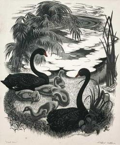 WEBB Clifford Cyril 1895-1972,Black Swans,David Lay GB 2024-04-11