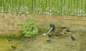 Webb Mike,duck and ducklings,1989,Burstow and Hewett GB 2018-03-22