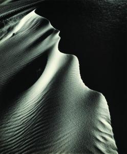 WEBB William 1900-1900,Dune,White Sands,1975,Clars Auction Gallery US 2011-09-11