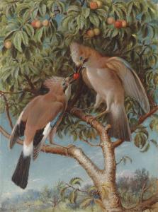 WEBBE William James 1853-1878,Two jays on a cherry tree,Christie's GB 2018-07-11