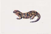 WEBER Denise 1929-1992,Salamander; Salamandra gallaica,Christie's GB 2005-11-30