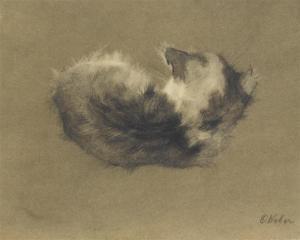 WEBER Otto 1876-1947,A kitten lying down viewed from the back.,Galerie Koller CH 2011-03-28