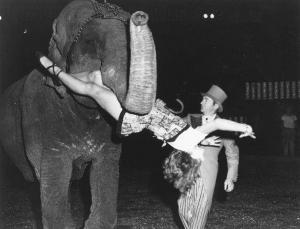 WEEGEE 1899-1968,Elephant and Showgirl,1956,Sotheby's GB 2003-04-23