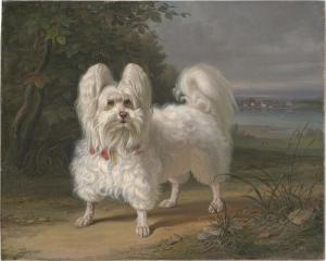 WEGENER Johann Friedrich W.,Kleines Malteserhündchen am Elbufer,1858,Galerie Bassenge 2023-06-08