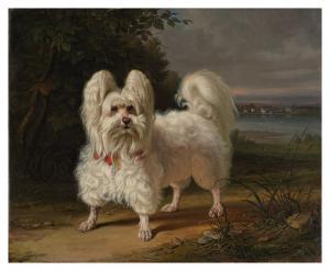 WEGENER Johann Friedrich W. 1812-1879,Maltese dog standing in a landscape,1858,Sotheby's 2023-10-06