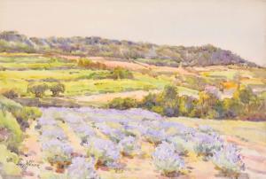 WEGER Louis 1900-1900,Paysages fleuris,Damien Leclere FR 2017-05-12