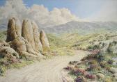 weidenhamer john 1944,Spring Flowers of the Anza Borrego Desert, March 7,1994,Bonhams GB 2007-11-11
