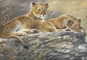 WEIERSBYE Ingrid Brigitte 1954,Two African lion cubs resting,Keys GB 2023-04-12