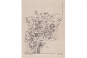 WEILLER SILVANA 1900-1900,Tree,Babuino IT 2015-10-21