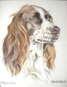 WEIR Halcyon Dora Murray 1912,Bramble - a Setter,Lots Road Auctions GB 2008-05-25
