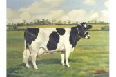 WEIR Michael S 1900-900,Friesian Cow,Halls GB 2015-06-24