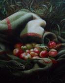 WEIR V,Still Life of Apples in a Blanket,Keys GB 2013-02-01