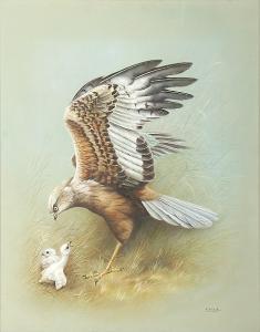 WELCH Vic 1900-1900,Male marsh harrier and two chicks,Sotheby's GB 2007-10-25