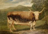 WELLES E.F 1826-1859,A long horned bull in a landscape,1840,Bonhams GB 2010-09-14
