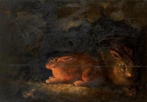 WENZEL Peter 1742-1829,Deux lièvres tapis dans les marais,Aguttes FR 2013-12-19