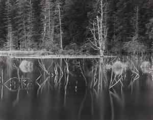 WERLING Robert 1946,Portage Glacier Pond, Alaska,1990,Lempertz DE 2021-06-17