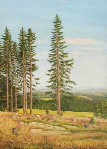 WERNER Krüger 1907,Landschaft bei Hof,Wendl DE 2016-06-16