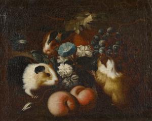 WERNER TAMM Franz 1685-1785,Still Life with Guinea Pigs,Van Ham DE 2020-11-19