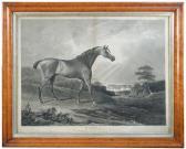 WESSELL J,'Bobtail', Study of a Stallion,Cheffins GB 2010-10-14
