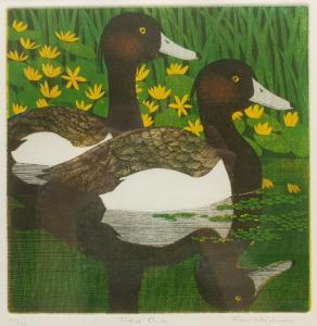 Wesselman Frans 1953,Tufted Ducks,David Duggleby Limited GB 2021-08-14