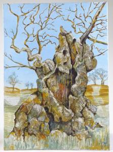 West P,old tree,Burstow and Hewett GB 2019-04-17
