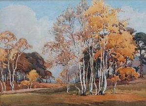 West W.J 1800-1800,landscape with silver birches,Fieldings Auctioneers Limited GB 2008-11-15