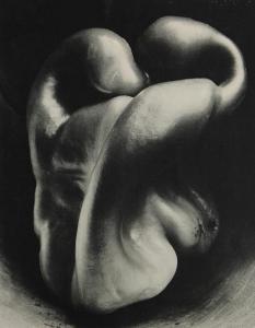 Weston Edward 1886-1958,Edward Weston - The Witkin Gallery, Inc., Sep. 9,1972,Clars Auction Gallery 2016-05-22