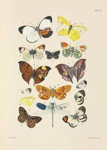 WESTWOOD JOHN OBADIAH,Thesaurus entomologicus Oxoniensis, or Illustratio,Christie's 2016-03-09