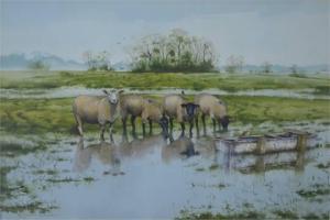 WESTWOOD Neil 1900-1900,Sheep in fenland landscape,Andrew Smith and Son GB 2015-05-19