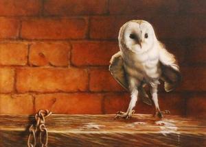 WESTWOOD WAYNE,A Barn Owl,Fieldings Auctioneers Limited GB 2013-10-05
