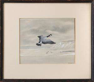 WHARTON P.C 1880,Canada goose,South Bay US 2019-04-13
