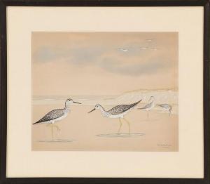 WHARTON P.C 1880,Four yellowlegs on the shore,1920,Eldred's US 2014-07-17
