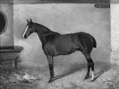 WHEELER H.A 1800-1900,A. "Pferd im Stall". Sign. und dat.
 87. Öl auf Lw,1887,Neumeister 2007-04-19