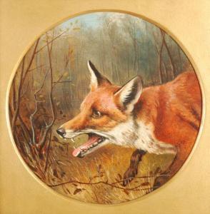 WHEELER Snr. John Alfred 1821-1903,Head of a fox,Dreweatt-Neate GB 2011-05-24