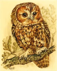 WHITAKER Rita E,Tawny owl,Eastbourne GB 2020-10-07