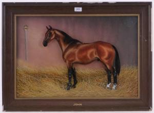 WHITBY Tim B 1800-1900,portrait of a horse,Burstow and Hewett GB 2017-05-03