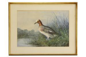 WHITE Cheverton,A DUCK IN REEDS,1869,Sworders GB 2018-07-24