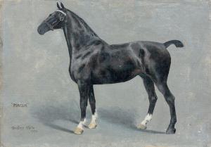 WHITE Geoffrey 1900-1900,Portrait du cheval Major,Tradart Deauville FR 2011-08-27