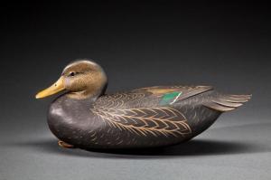 WHITE Robert 1939,Black Duck,Copley US 2014-07-25