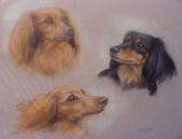 WHITE Ursula 1919-2011,HEAD STUDIES OF THREE LONGHAIRED DACHSHUNDS,1985,William Doyle US 2005-02-15