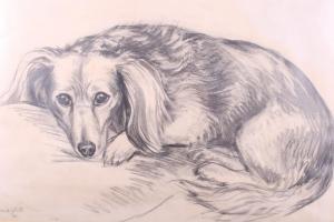 WHITE Ursula 1919-2011,study of a dog,Jones and Jacob GB 2019-11-13
