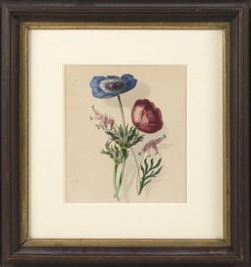 WHITEFIELD Edwin 1816-1892,Anemones,Eldred's US 2021-06-11