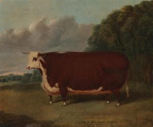 WHITFORD Richard 1854-1888,Hereford prize heifer in a landscape,Bonhams GB 2024-02-13