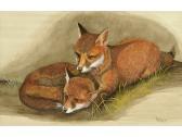 WHITNEY John 1900,STUDY OF FOX CUBS,Lawrences GB 2008-11-25