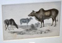 WHITTLESEA Adrian,Oxford Scenes,1820,Shapes Auctioneers & Valuers GB 2013-01-10