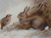 WHYMPER Charles 1853-1941,A rabbit and a robin.,David Lay GB 2008-01-24